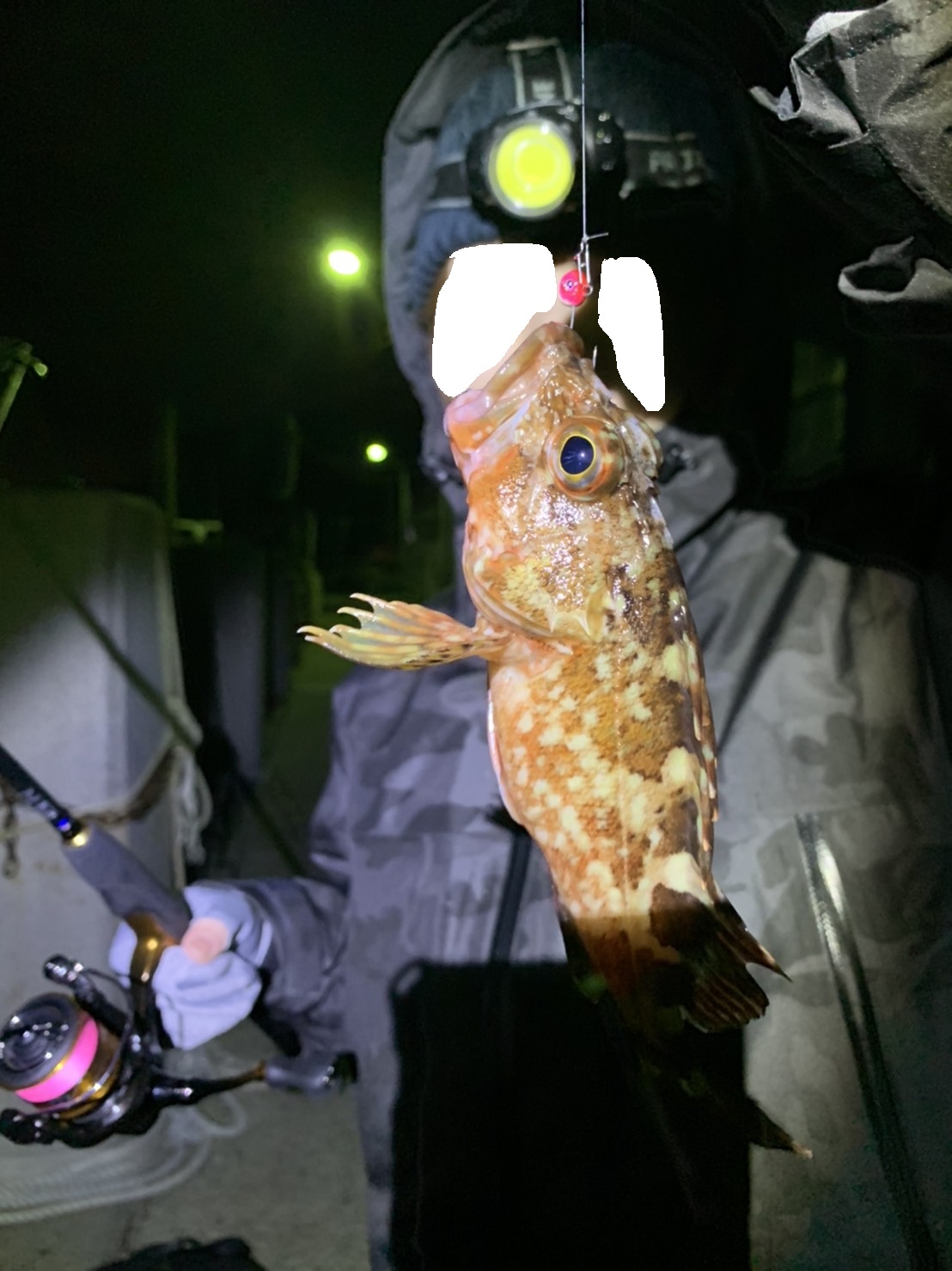 魚がエサに食いつく瞬間が見える カサゴは釣れてもメバルは釣れない